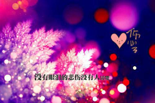 姜柠免费阅读陆衍辰姜柠小说