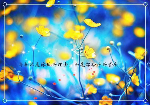 许江树沈清梨小说免费 许江树沈清梨第2章在线阅读