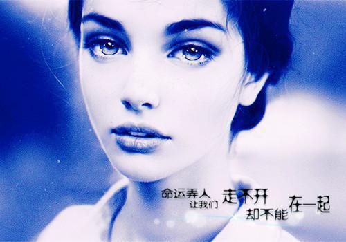 主角柳玥陆政渊小说免费阅读最新章节