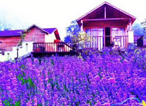 许京韵顾扬琛是哪部小说的主角 许京韵顾扬琛全文阅读