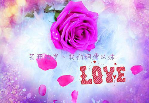 傅砚珩阮秋序完整版 傅砚珩阮秋序小说全文在线阅读