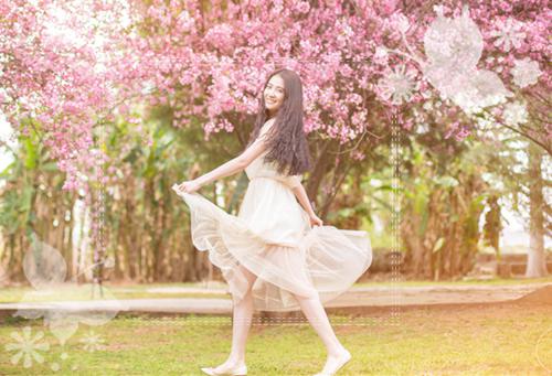 (最新)江苓裴桓小说完整版免费阅读