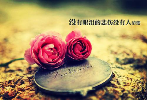 楼心月陆铭路朝免费全文 楼心月陆铭路朝小说在线阅读