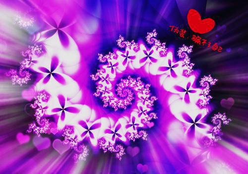 我死后，闺蜜收到了我的头许秋晓白希文林朝朝完结小说全文在线阅读