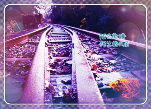 随安陆尘珣陆书予免费阅读第3章 随安陆尘珣陆书予大结局