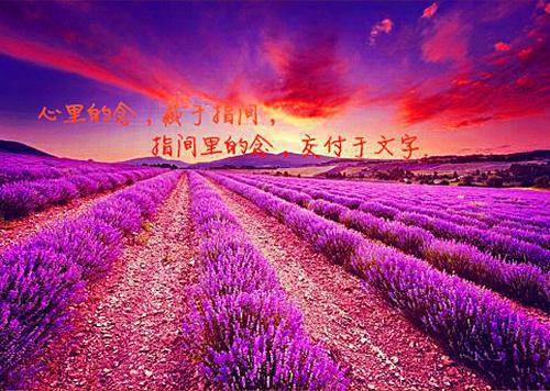 青懿夫人玉清小说叫什么 青懿夫人玉清小说全文免费阅读