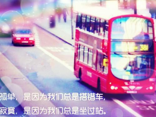 严霜林雪最新章节免费 严霜林雪在线阅读