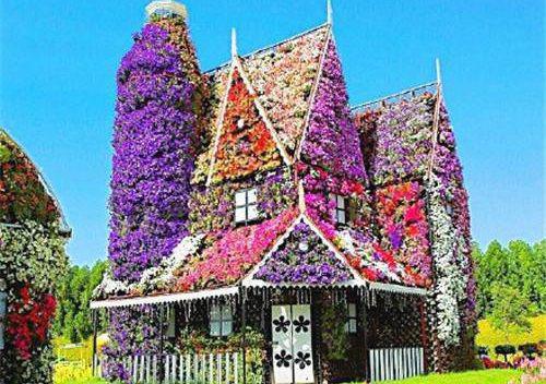 甜甜陈瑶刘浩小说最新章节 甜甜陈瑶刘浩免费阅读