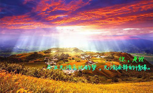 欲吻她唇全文完结阅读 明澜沈厉小说阅读最新章节