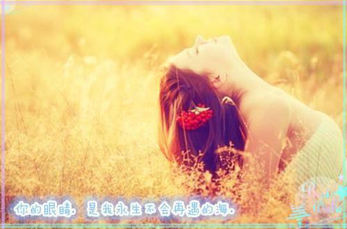 太子妃离任计划全文目录 阿珩谢闲小说免费阅读无广告