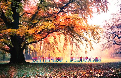 陆恒婉儿第四章 陆恒婉儿小说免费阅读