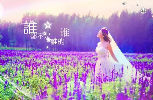 顾时谨晚月陈月宜主角的书 爱如飘絮全文阅读免费