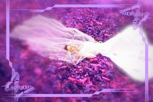 夏柠秦阅川全文阅读-夏柠秦阅川小说免费阅读