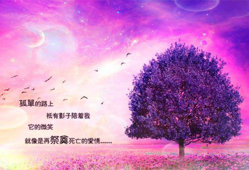 宋婉周文礼是什么小说 宋婉周文礼全本免费阅读