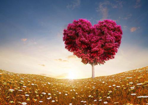 替代反派陈星小说(完整)免费阅读