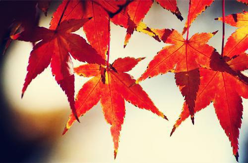 温月喻盛靳熠第11章 温月喻盛靳熠小说免费阅读