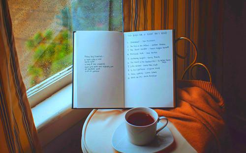 如愿嫁给蛇王后，师姐后悔了寂渊姚宁霜小说在线免费阅读(大结局)