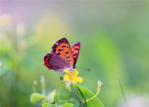 低温无心小说全文 周迟许温周辞无删减无弹窗阅读