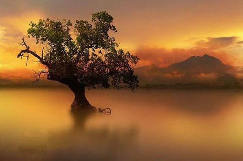 夏悦蒋城光免费阅读 夏悦蒋城光最新章节目录