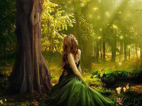 秦霜宁辰笙小说免费 秦霜宁辰笙第3章在线阅读