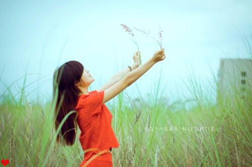 徐向文叶绮叶晴免费阅读目录 徐向文叶绮叶晴小说全文