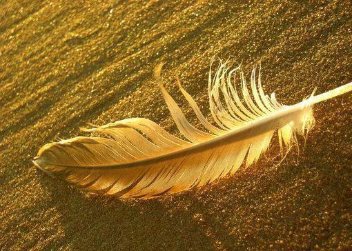 陆雪琪陈思思《室友污蔑我有脏病,我创飞所有人》小说在线阅读