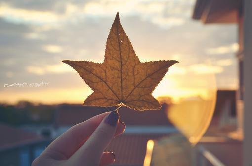 顾霆凫骆雪妤（骆雪妤顾霆凫）小说全文免费阅读无弹窗大结局_顾霆凫骆雪妤全文在线阅读无弹窗