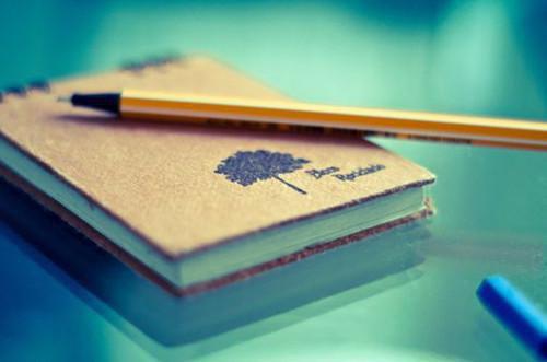 郑乾赵雅全文免费 郑乾赵雅在线阅读