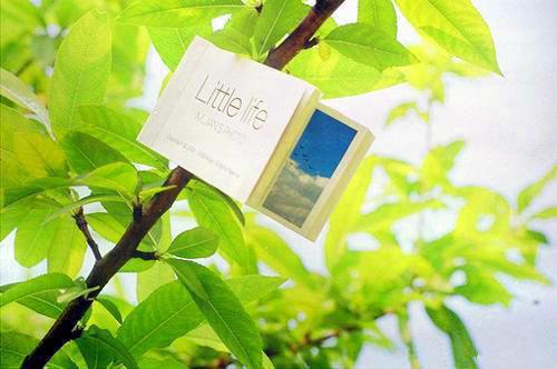 悟性逆天：灯泡悟出人造太阳！小说，悟性逆天：灯泡悟出人造太阳！全文在线阅读