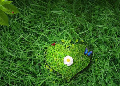 主角白筱筱傅寒川小说傅寒川白筱筱小说全文免费阅读（免费）+（番外）