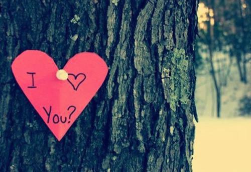 (完整版)凌河小说免费阅读无广告