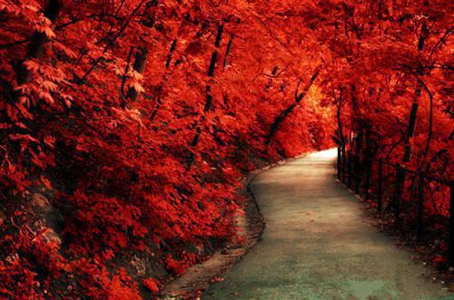 尹天明程茵茵小说章节目录 尹天明程茵茵免费阅读第2章