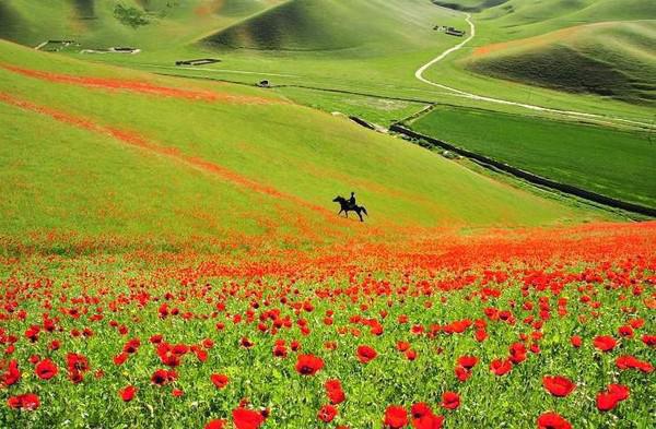 宁诗悦徐清延大结局免费阅读 宁诗悦徐清延全文小说