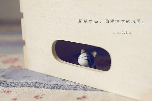 男女主角是周聿高祝潇周淮的小说 最后的夏天全文目录