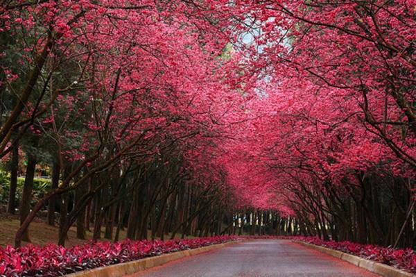 唐美美纪清雅全文最新章节正版小说免费阅读