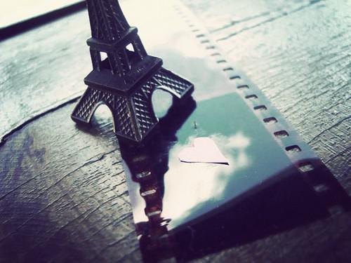 萧茜沈君安免费全文 萧茜沈君安小说在线阅读