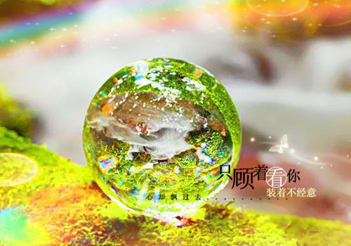 傅言希裴时沉是啥小说 傅言希裴时沉免费阅读无广告