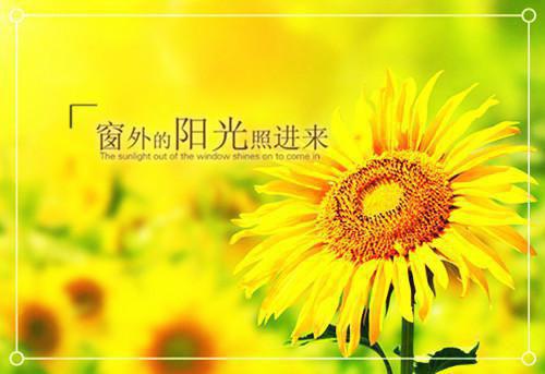 (番外)+(结局)付明嫣顾景程（春若景明不相逢付明嫣：结局+番外）全文免费阅读无弹窗大结局_(付明嫣顾景程)最新章节列表（春若景明不相逢付明嫣：结局+番外）