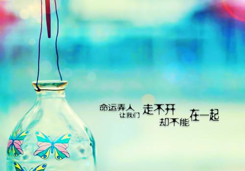 木卿卿小说叫什么 木卿卿小说全文免费阅读