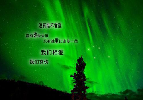 姜吟秋洛临溪第二章 姜吟秋洛临溪小说免费阅读