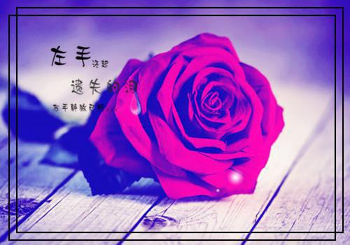 许欣然许明川第四章 许欣然许明川小说免费阅读