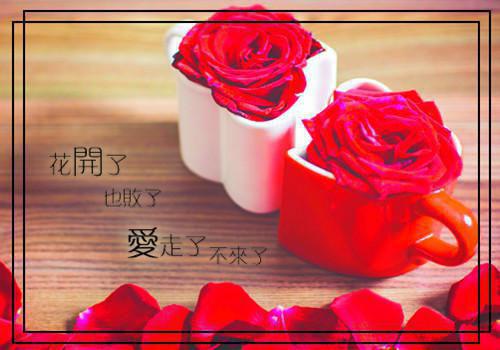 骆雪妤顾霆凫（骆雪妤顾霆凫）全文免费阅读大结局_骆雪妤顾霆凫最新章节列表