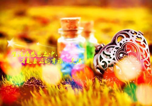 宦海之造浪者结局在线阅读 宦海之造浪者完整版小说