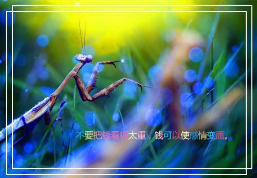 傅尹寒顾篙顾叶盼全文免费大结局 傅尹寒顾篙顾叶盼小说在线阅读