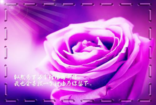 白露顾凉小说全文 白露顾凉小说免费阅读大结局