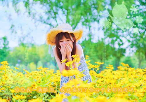 温玫裴行初是啥小说 温玫裴行初免费阅读无广告