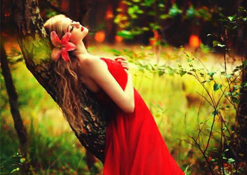 修正版万物朝光免费章节抢先阅读