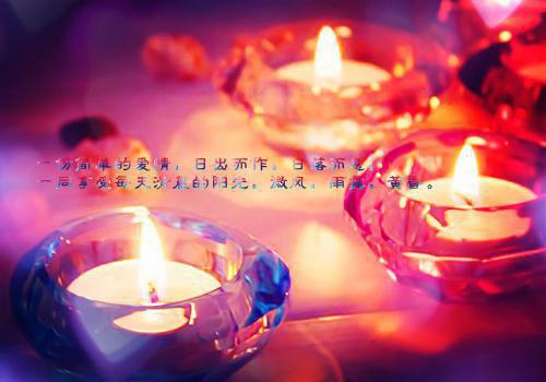 南歌裴清豪顾舟舟全文阅读 南歌裴清豪顾舟舟小说最新章节