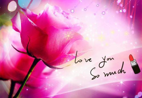 夏芷璇叶璟哪里可以看 夏芷璇叶璟免费阅读第二章