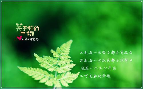 林悦韩羽萱免费全本小说 林悦韩羽萱章节目录